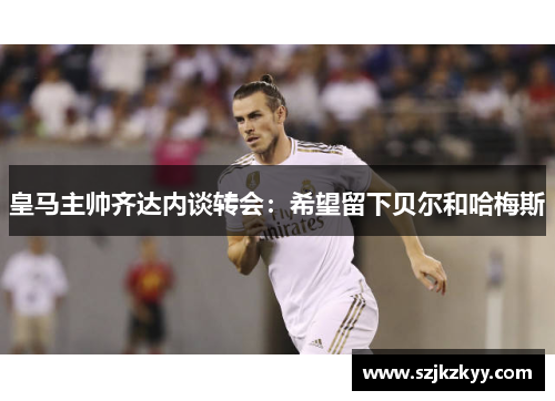 皇马主帅齐达内谈转会:希望留下贝尔和哈梅斯